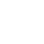icons8-expert-64 1
