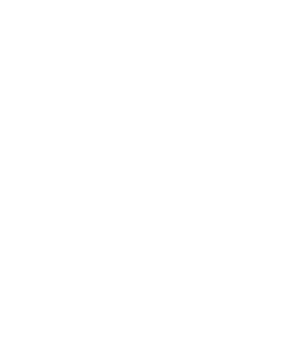 Icon 8