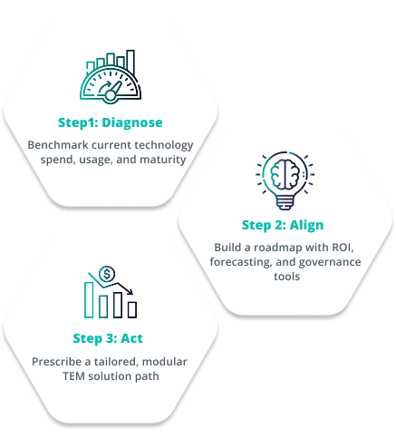Technology expense management diagnosis to solution.